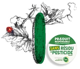Dessin du concombre zéro résidu de pesticide Kultive